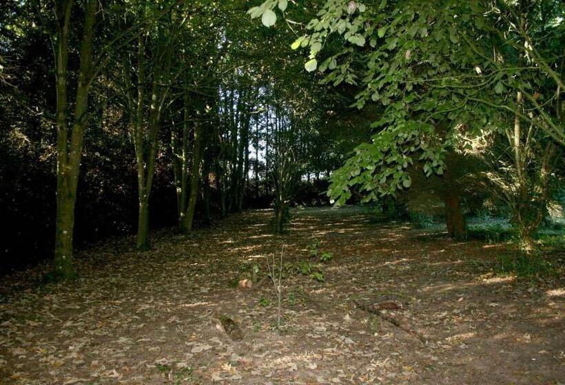 Bed and Breakfast L Anctovillière