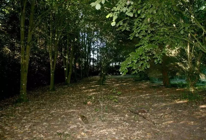 ベッドアンドブレックファースト L Anctovillière