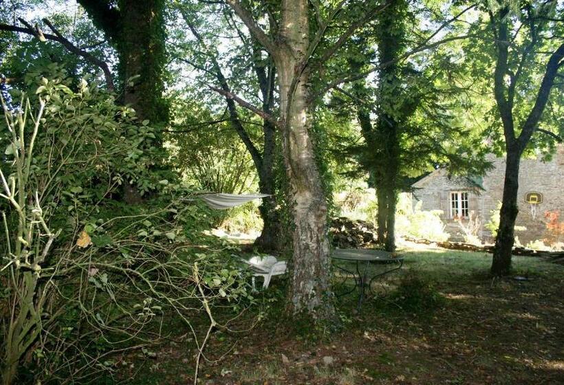 Bed and Breakfast L Anctovillière