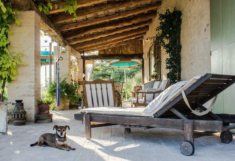 צימר Poggio Dei Prugnoli