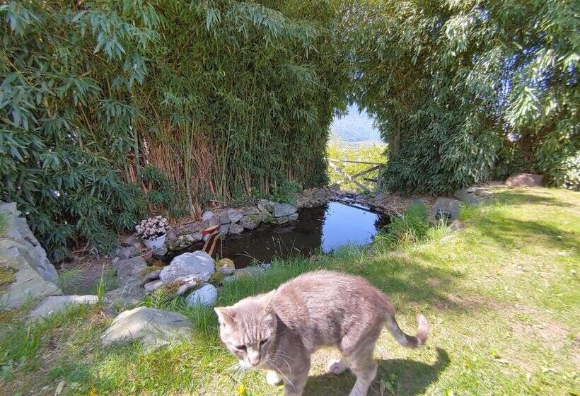 Bed & Breakfast Valtellina