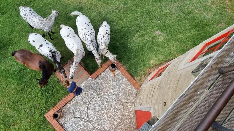 فندق Fairview Estates