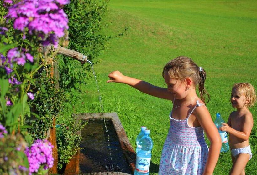 هتل Ferienhof Haindlbauer