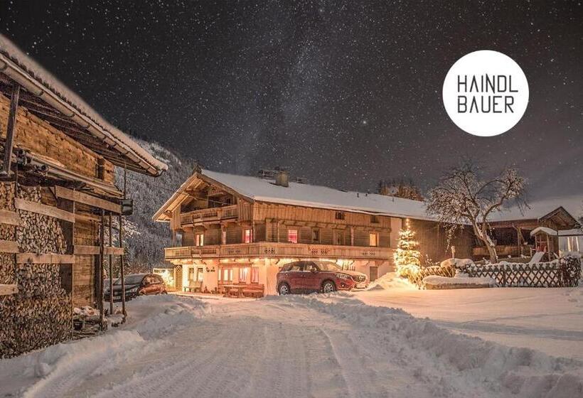 هتل Ferienhof Haindlbauer