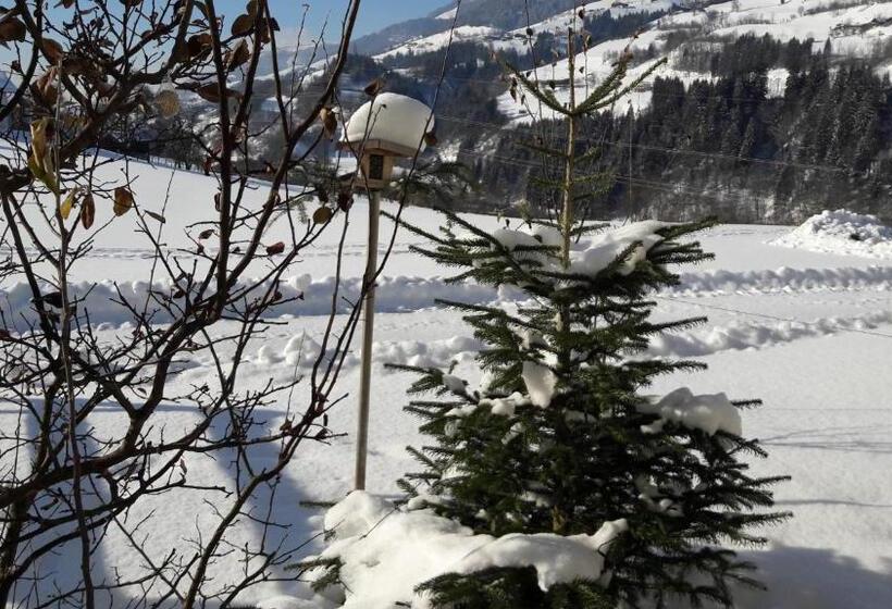 호텔 Rieserhof/fam. Meißnitzer