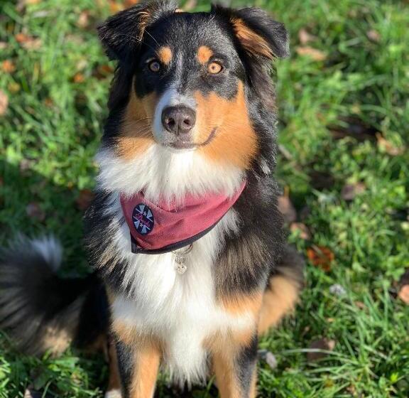 호텔 Rieserhof/fam. Meißnitzer