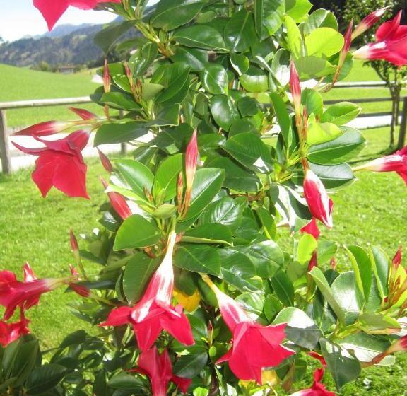 호텔 Rieserhof/fam. Meißnitzer