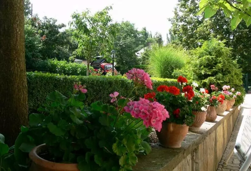 ペンション Hársfa Szálló