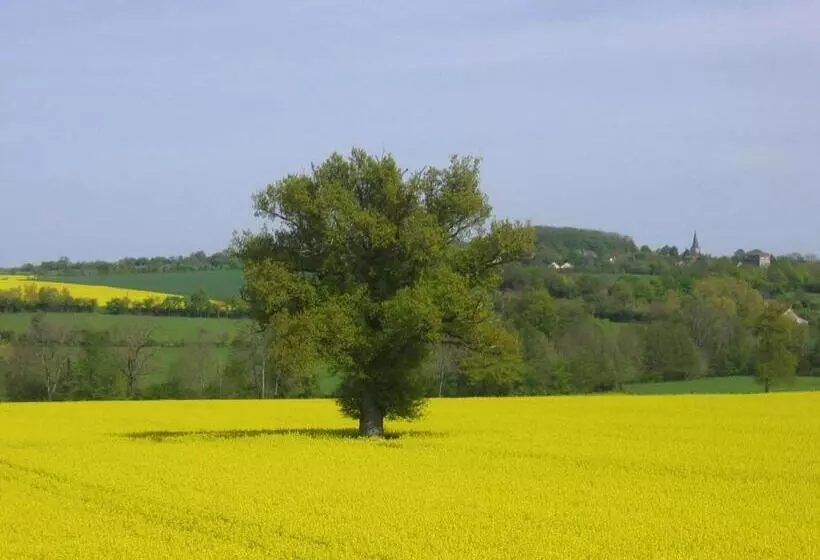 ベッドアンドブレックファースト Chambres D Hôtes Les Potiers