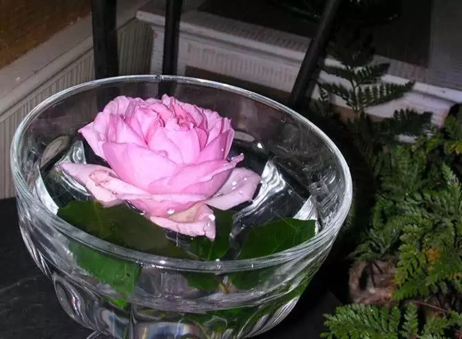 Aamiaismajoitus (B&B) La Mesnagerie