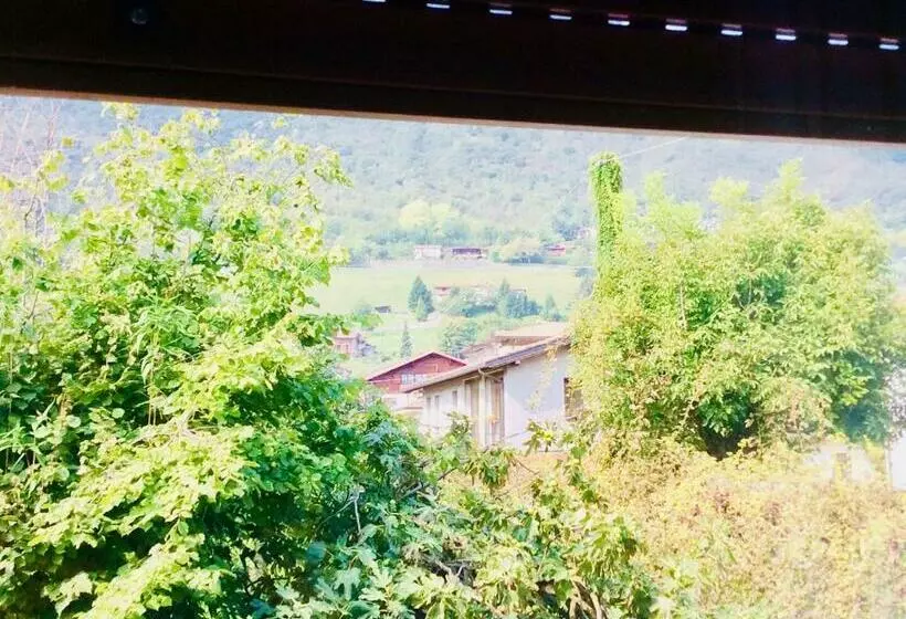 Aamiaismajoitus (B&B) Villa Harriet