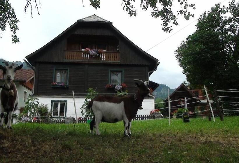 فندق Harreiterhof