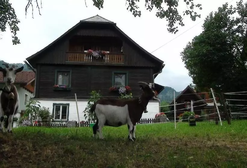 ホテル Harreiterhof