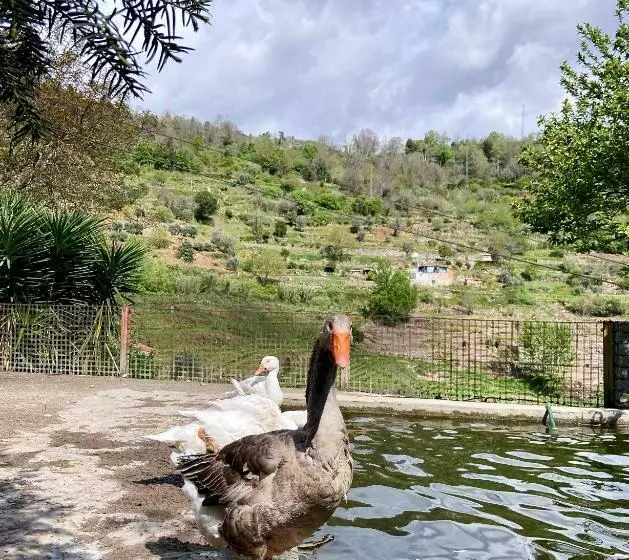 ホテル Private Douro  Quinta Das Susandas