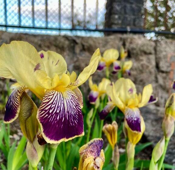 هتل Private Douro Quinta Das Susandas