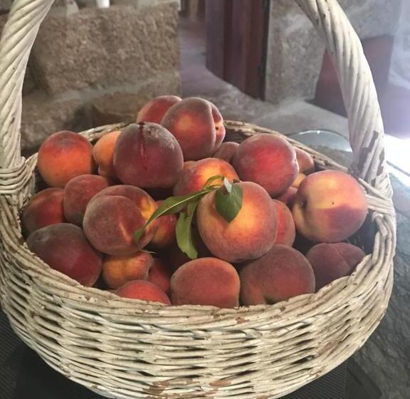 هتل Quinta Casa Da Fonte