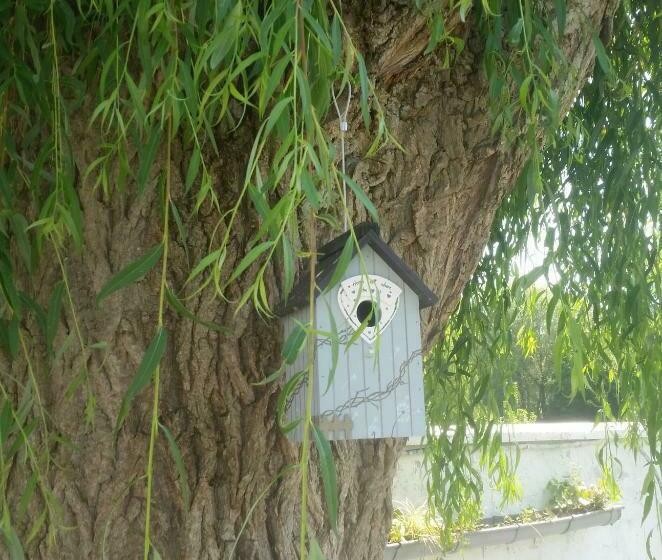 פנסיון Les Trois Roses