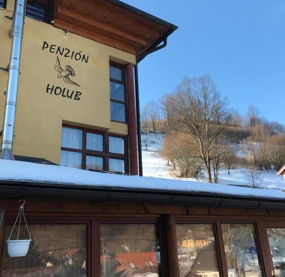 Пансион Penzión Holub