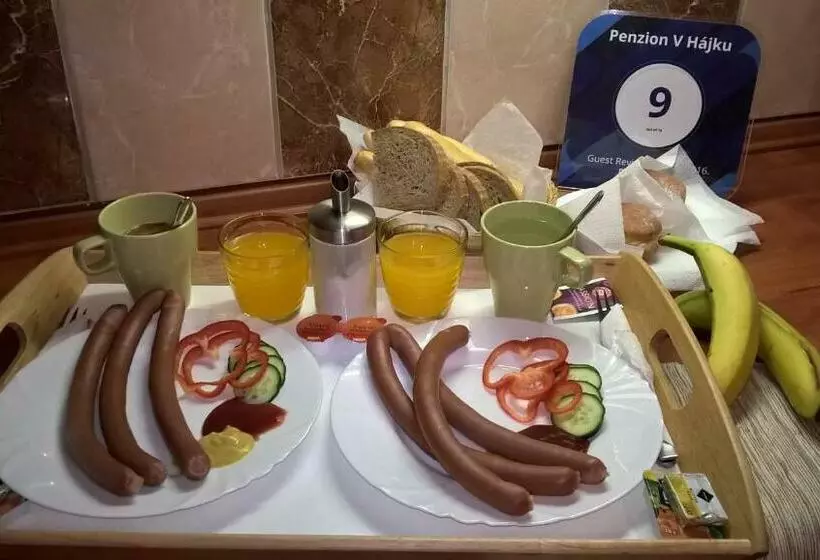 Majatalo Penzion V Hájku
