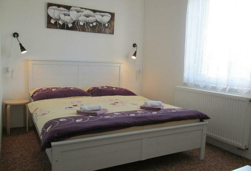 פנסיון Penzion V Hájku