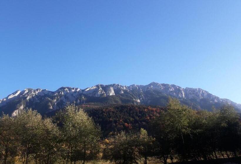 Pensiunea Kyfana Zarnesti