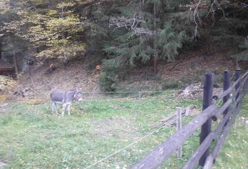 Pensiunea Kyfana Zarnesti