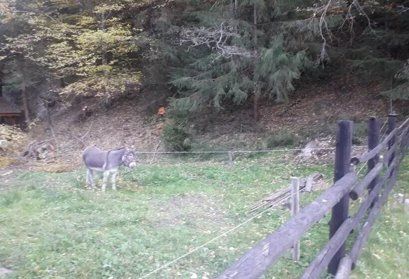 Pensiunea Kyfana Zarnesti