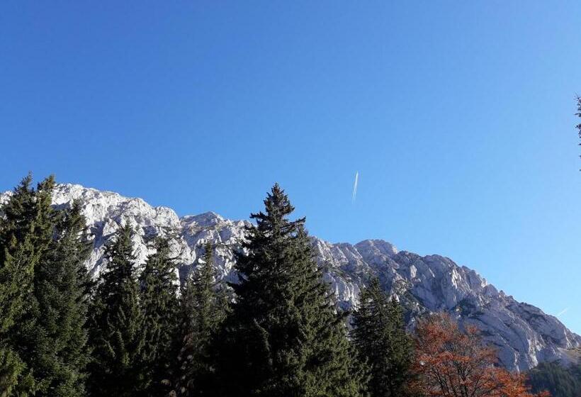 Pensiunea Kyfana Zarnesti