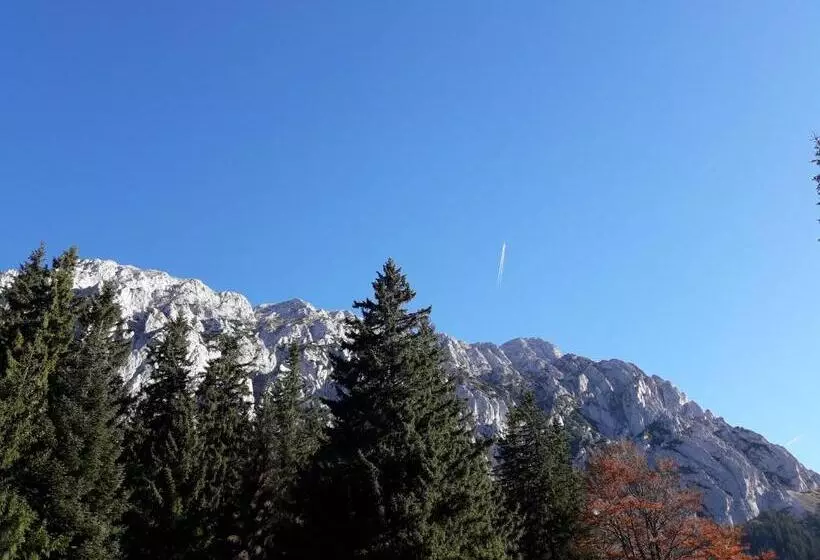 Pensiunea Kyfana Zarnesti