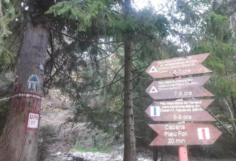 Pensiunea Kyfana Zarnesti