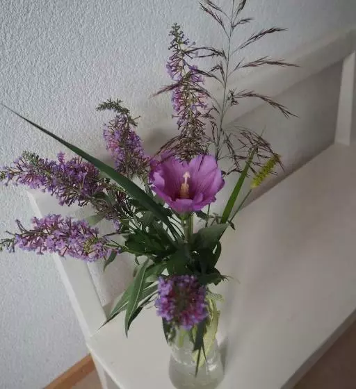 Aamiaismajoitus (B&B) Bnb Entensee