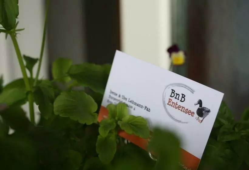 Aamiaismajoitus (B&B) Bnb Entensee