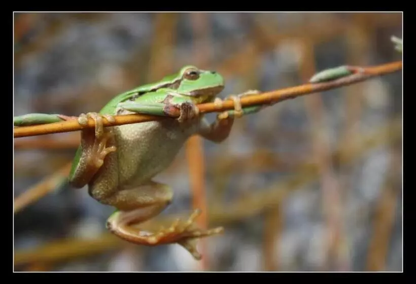 Aamiaismajoitus (B&B) Bnb Entensee