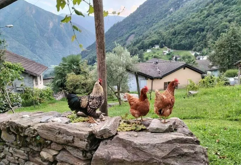 ベッドアンドブレックファースト Da Erminia