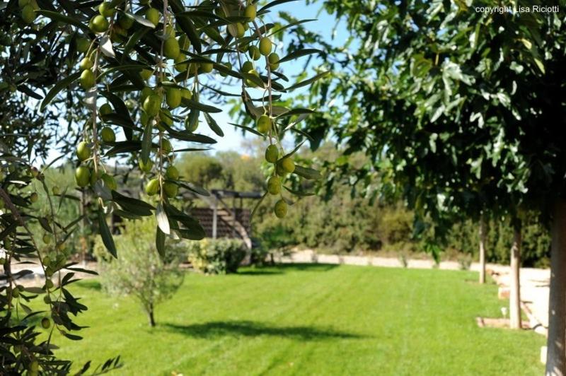 צימר Les Hôtes De La Combe Mouis