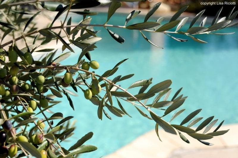 צימר Les Hôtes De La Combe Mouis