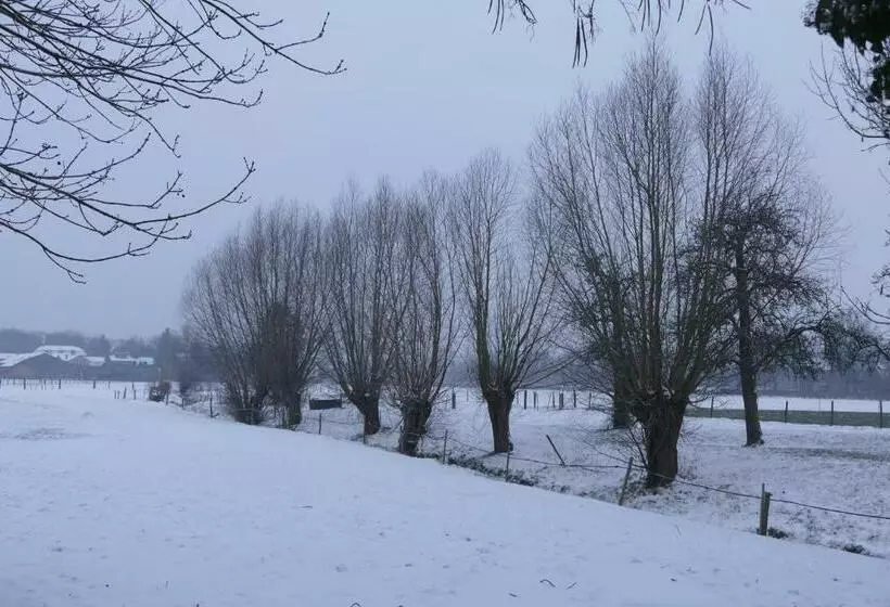 Aamiaismajoitus (B&B) Meschermolen