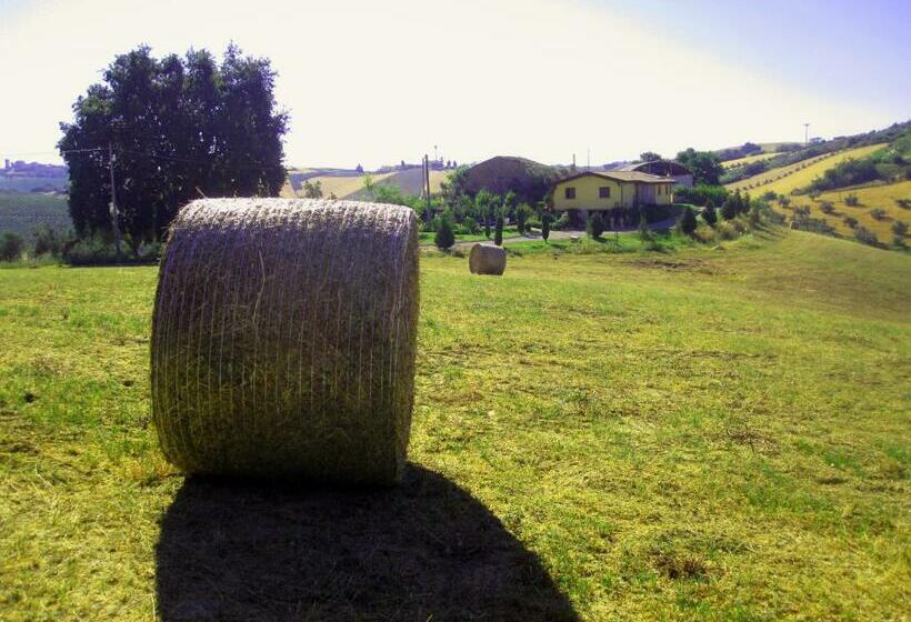 ホテル Agriturismo Tenuta Santa Maria
