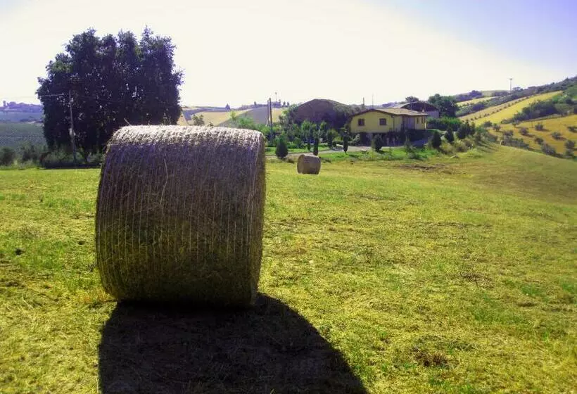 ホテル Agriturismo Tenuta Santa Maria