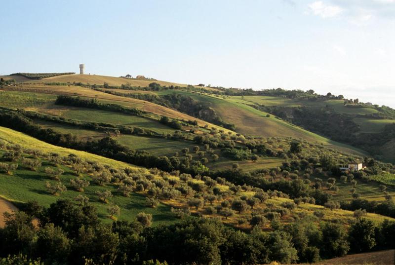 ホテル Agriturismo Tenuta Santa Maria