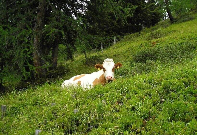 فندق Bauernhof Grussberggut