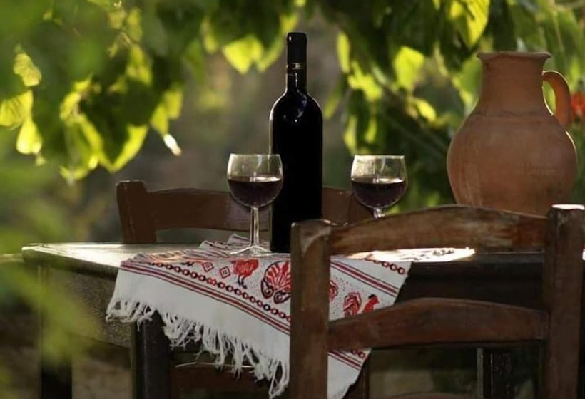 فندق صغير Loxandra Inn