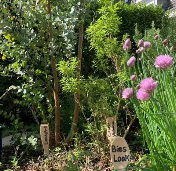 Aamiaismajoitus (B&B) De Stadswal