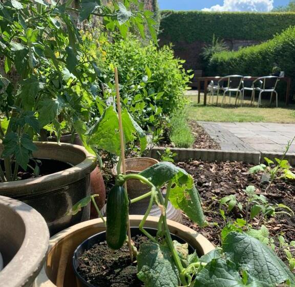 ベッドアンドブレックファースト De Stadswal