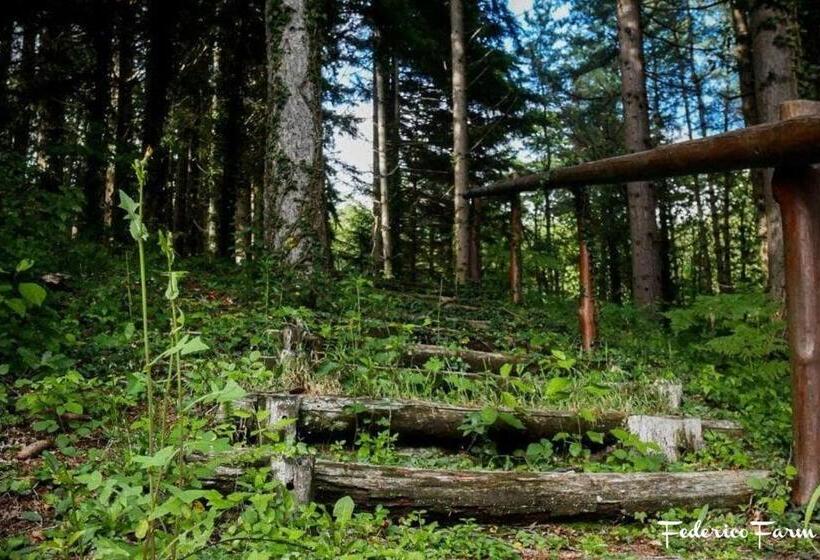 בית מלון כפרי Agriturismo La Casa Del Sarto