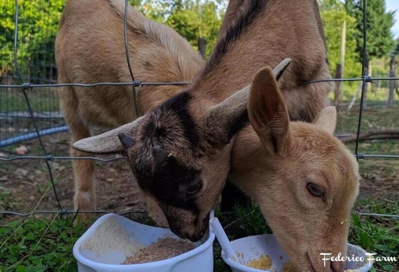בית מלון כפרי Agriturismo La Casa Del Sarto