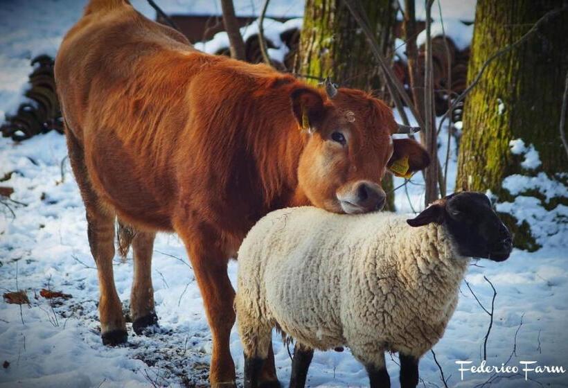 בית מלון כפרי Agriturismo La Casa Del Sarto