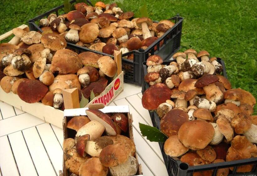 בית מלון כפרי Agriturismo La Casa Del Sarto