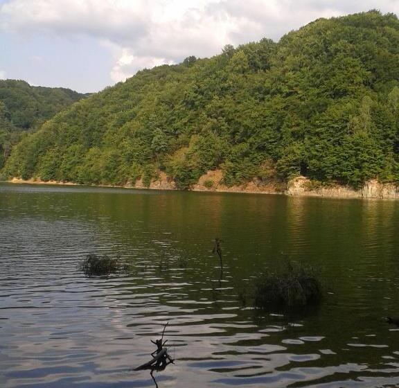 בית מלון כפרי Complex Turistic Caprioara