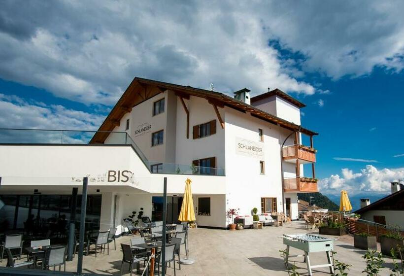 酒店 Pension Schlaneiderhof